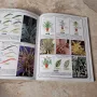 книга експерт по стайните растения, снимка 3