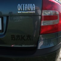 Skoda Octavia, снимка 7 - Автомобили и джипове - 41312332