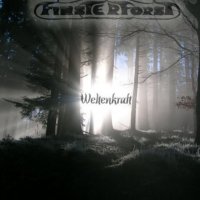 Finter Forst -немска викинг метъл група/фолк метъл., снимка 1 - CD дискове - 34825680