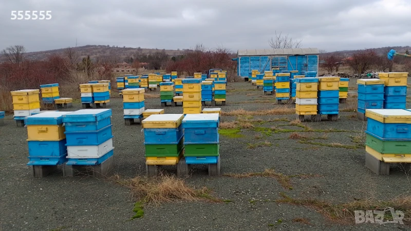 Продавам пчелни семейства с кошери, снимка 1