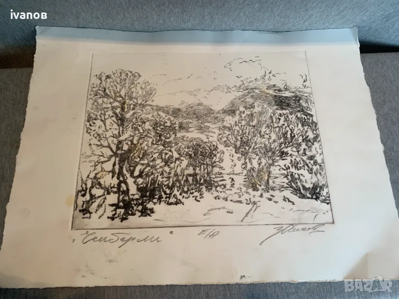 картина от Зафир Йончев ,Чемберли, Е/А, снимка 1