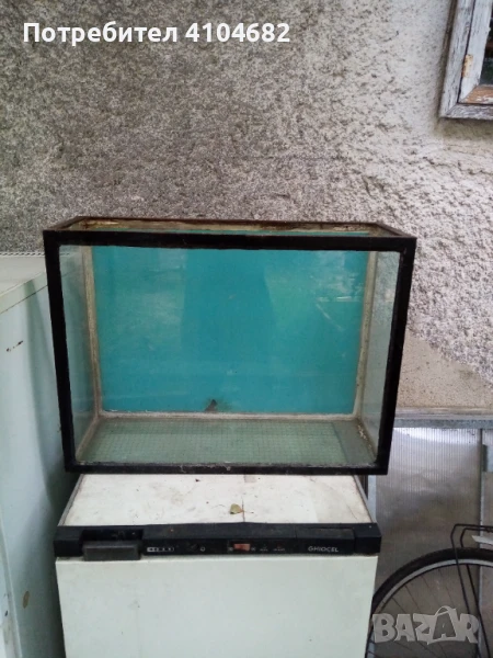 Аквариум , снимка 1