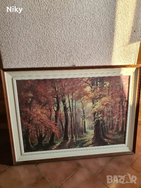 Картини , снимка 1