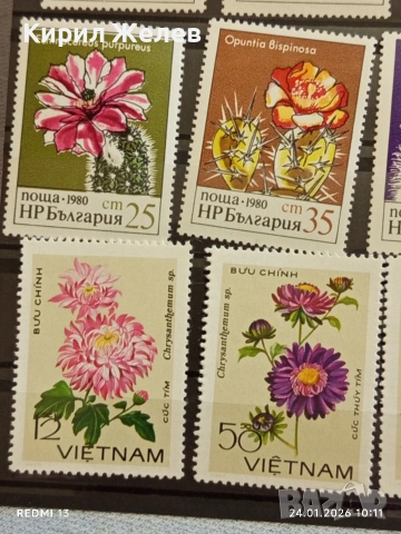 Стари пощенски марки без печат ЦВЕТЯ ВИЕТНАМ,НРБ за КОЛЕКЦИЯ 52072, снимка 7 - Филателия - 53208310