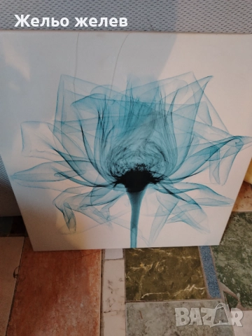 Картини 29лв 1бр.