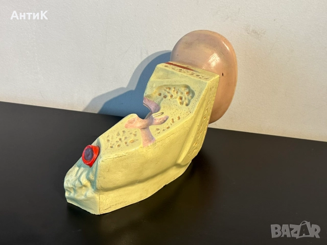 Соц Анатомичен Модел на Човешко Ухо, снимка 4 - Антикварни и старинни предмети - 51676648