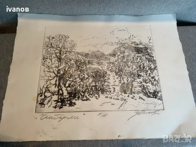 картина от Зафир Йончев ,Чемберли, Е/А