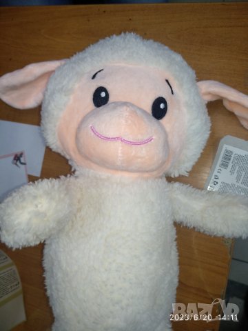 Агне, около 45-48см