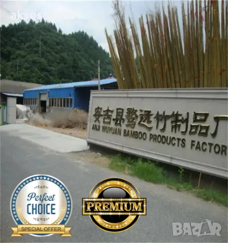 Висококачествени Семена от бамбук Moso Bambo декоративни растения за дома и двора бамбуков разсад, снимка 8 - Сортови семена и луковици - 49007699