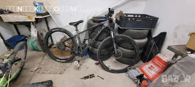 Sprint Apollon 29