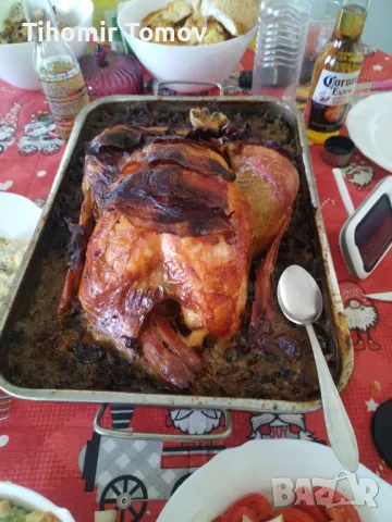 продавам домашно гледани пуйки пуяци , снимка 2 - Кокошки и пуйки - 48051978