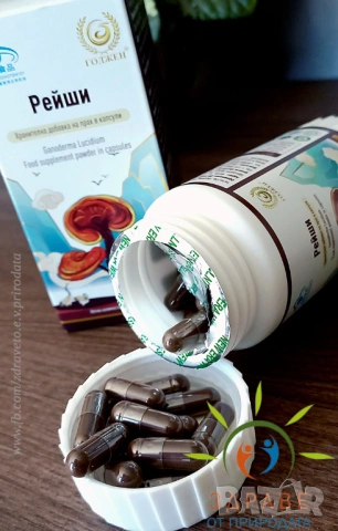 Гъба Рейши - Guozhen, снимка 2 - Хранителни добавки - 51025292