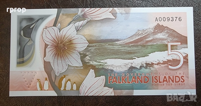 Фолкленски острови .  5 паунда. 2025 година. UNC., снимка 2 - Нумизматика и бонистика - 48843671