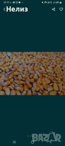 царевица на зърна, снимка 1 - За селскостопански - 44604991