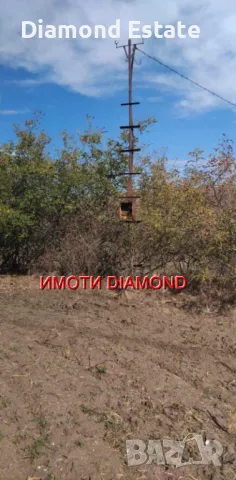 Парцел в село Странско общ. Димитровград, снимка 5 - Парцели - 47546301