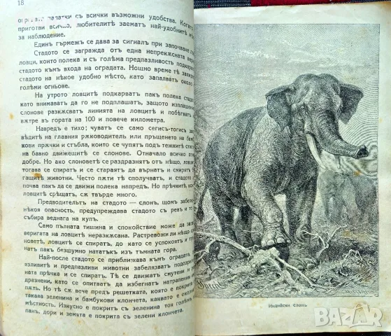 Малки разкази за животни и растения. Кн. 1-4 Стефанъ Велчевъ /1929/, снимка 4 - Антикварни и старинни предмети - 56137216