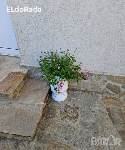 бетонна кашпа/саксия , снимка 9 - Саксии и кашпи - 49848819