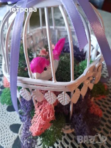 Метална клетка с птиче и скандинавски мъх, снимка 1