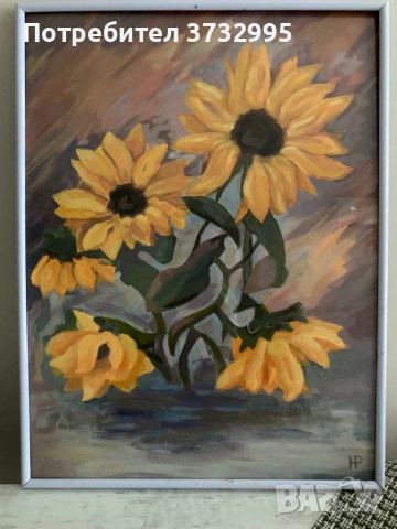 слънчогледи