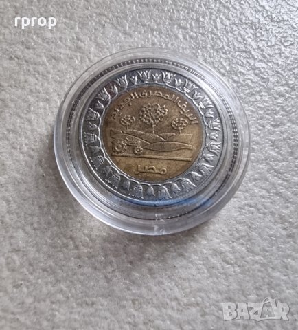 Монети. Египет. 1 паунд . 5 различни монети. По трудни за намиране., снимка 4 - Нумизматика и бонистика - 40911707