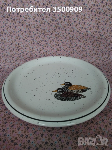 ръчно рисувана чиния
