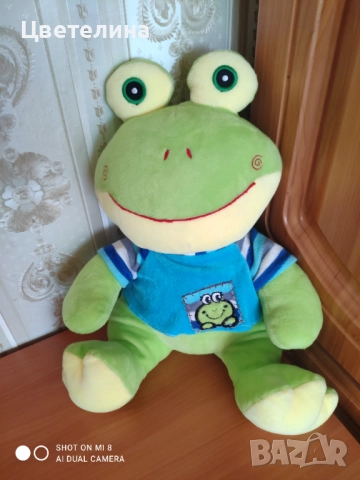 Плюшена жаба разказвач на приказки