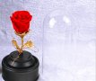 Вълшебна неувяхваща роза в стъкленица с LED светлина.