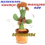 ПРОМО! Музикален пеещ говорещ Танцуващ кактус Детски играчки РАЗЛИЧНИ, снимка 1