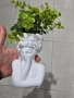 декоративни саксии , снимка 1