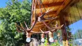 Ръчно изработен полилей от рога с ръчно изработени дървени чашки , снимка 3