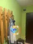 Апартамент в Димитровград, кв. Славянски, снимка 10