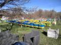 Пчелни отводки 2024, снимка 2