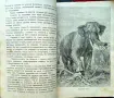 Малки разкази за животни и растения. Кн. 1-4 Стефанъ Велчевъ /1929/, снимка 4