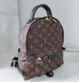 Кафява раница  Louis Vuitton код AF148, снимка 2