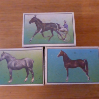 Кибрити 3 бр с коне кибрит с кон, снимка 2 - Колекции - 44688601