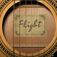Електроакустичната китара Flight с капъф и кабел, снимка 3 - Китари - 44759111