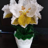 Цветя от мъниста-Амарилис, снимка 3 - Изкуствени цветя - 41856643