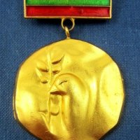 Колекционерски медали, снимка 11 - Антикварни и старинни предмети - 41665098