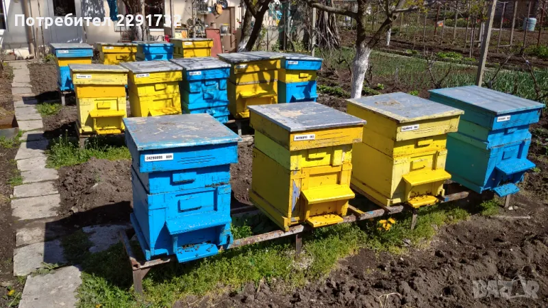 Продавам пчелни отводки/рояци, снимка 1
