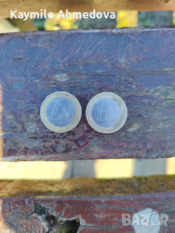 1 evro два боря, снимка 2 - Други услуги - 53656999