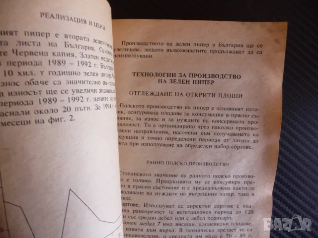Зелен Пипер чушки Библиотека на зеленчукопроизводитела лош вид, снимка 2 - Други - 47363219