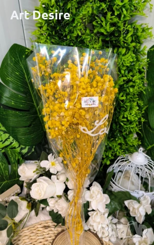 Гипсофил , снимка 7 - Други - 53408838