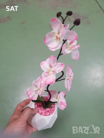  Бонзай , Бонсай, снимка 4 - Изкуствени цветя - 39522117
