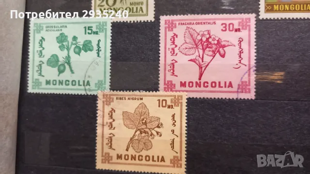 Марки Монголия, снимка 4 - Филателия - 50368056