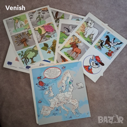 Животните на Европа и Нощните животни, снимка 7 - Детски книжки - 52483867