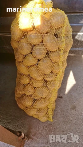 Мрежести чувалчета(гаци)за пакетиране на плодове и зеленчуци, снимка 4 - Други - 2789135