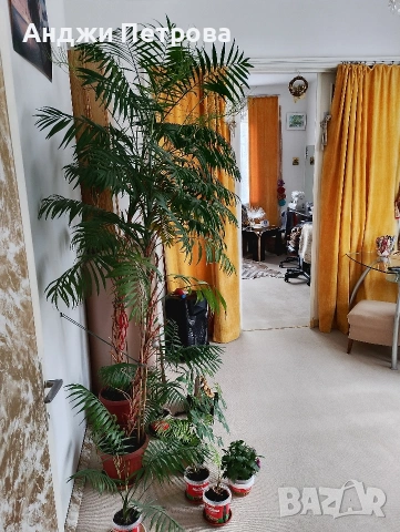 Двустаен в топ центъра на София, снимка 3 - Апартаменти - 53641894