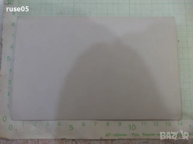 Снимка стара на излет сред природата край реката, снимка 2 - Колекции - 47905164