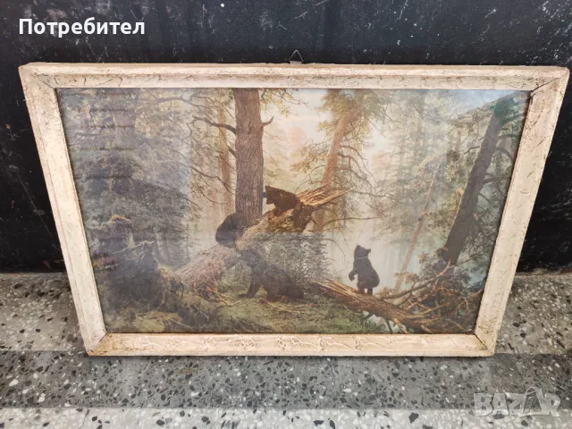 Картина "Утро в боровата гора"
