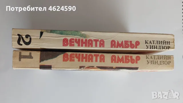 Вечната амбър, Катрин Уиндзор, снимка 6 - Художествена литература - 55879464